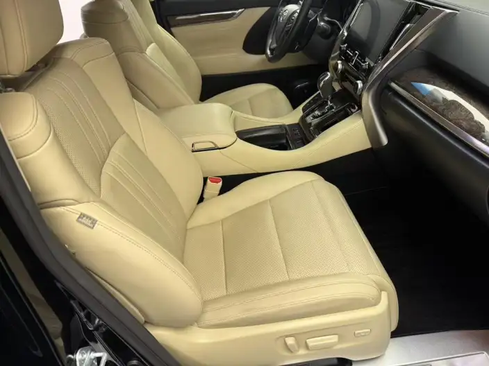 Elfa 2022 Model Hybrid 2.5L Zhen Xiang · Gold Edition – фото 7