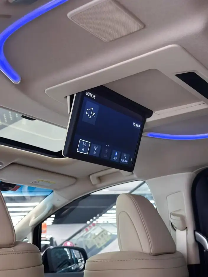 Elfa 2022 Model Hybrid 2.5L Zhen Xiang · Gold Edition – фото 8
