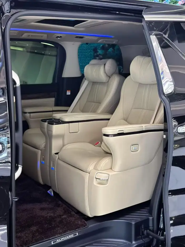 Elfa 2022 Model Hybrid 2.5L Zhen Xiang · Gold Edition – фото 9
