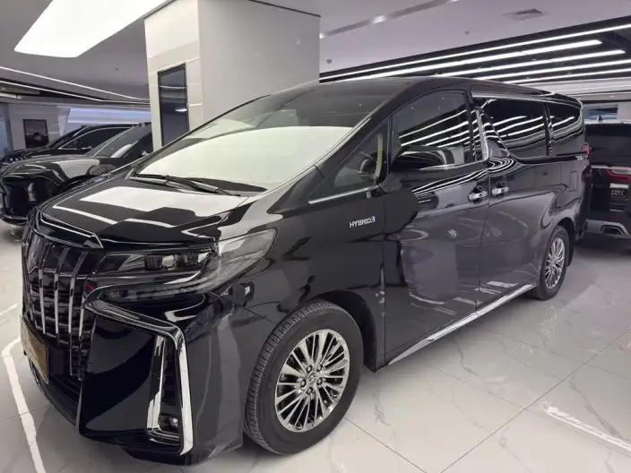 Elfa 2022 Model Hybrid 2.5L Zhen Xiang · Gold Edition – фото 10