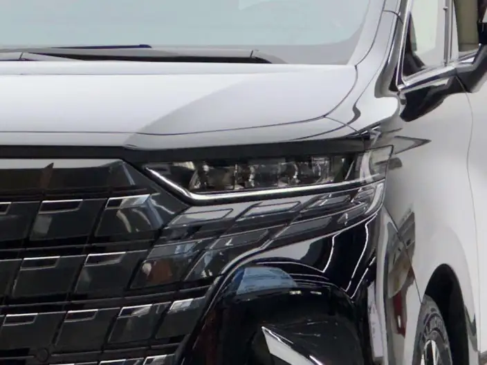 Elfa 2024 Model 2.5L Automatic 4WD 7 seat Parallel Imported – фото 4