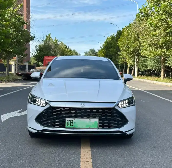BYD Qin PLUS DM 2024 Model Honor Edition DM-i 55KM Leading Model – фото 2