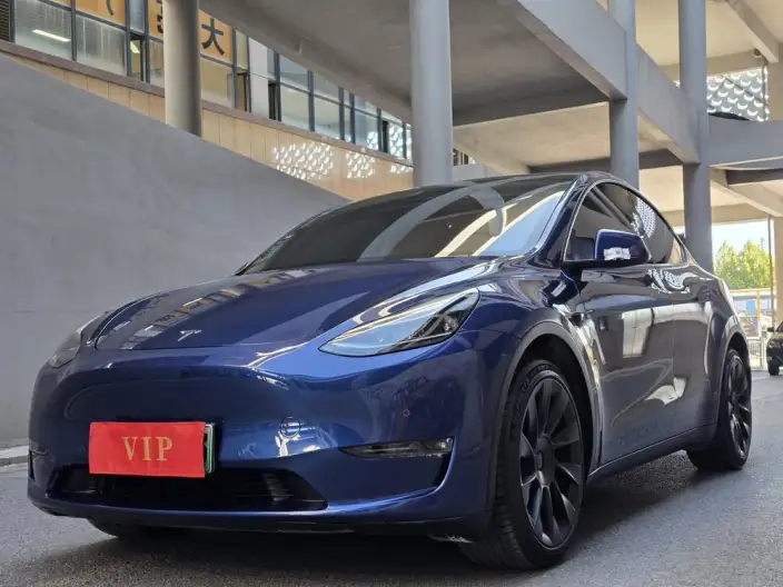 Model Y 2021 Model Long Battery Life Pro All-wheel drive version – фото 1