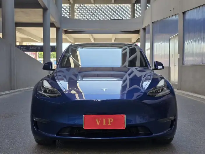 Model Y 2021 Model Long Battery Life Pro All-wheel drive version – фото 2