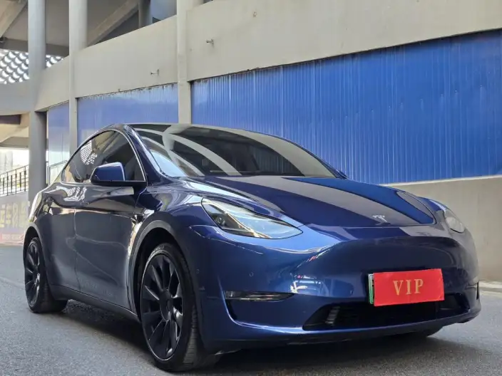 Model Y 2021 Model Long Battery Life Pro All-wheel drive version – фото 3