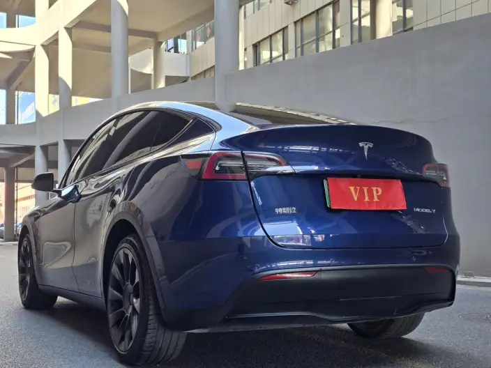 Model Y 2021 Model Long Battery Life Pro All-wheel drive version – фото 4
