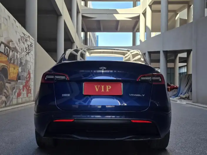 Model Y 2021 Model Long Battery Life Pro All-wheel drive version – фото 5