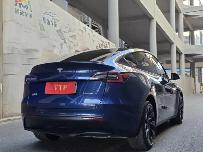 Model Y 2021 Model Long Battery Life Pro All-wheel drive version – фото 6