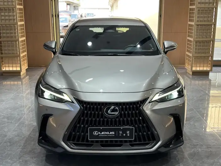 Lexus NX 2023 Model 260 Qian Drive Innovation Drive Edition – фото 2