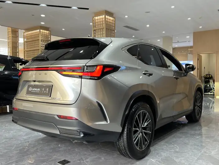 Lexus NX 2023 Model 260 Qian Drive Innovation Drive Edition – фото 6