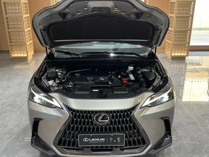 Lexus NX 2023 Model 260 Qian Drive Innovation Drive Edition – фото 7
