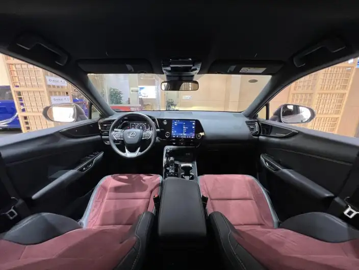 Lexus NX 2023 Model 260 Qian Drive Innovation Drive Edition – фото 10