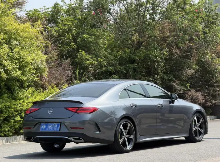Mercedes-Benz CLS 2020 Model CLS 300 Luxury Model – фото 6