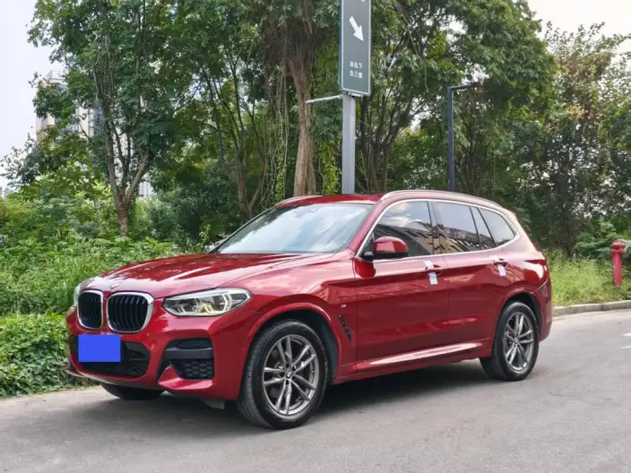 BMW X3 2021 Model xDrive25i M Sports Set – фото 1