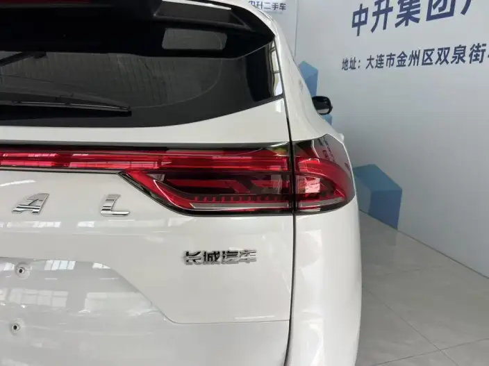 Haval H6 2021 Model Guo Trendy Edition 1.5T Automatic Champion Edition – фото 6