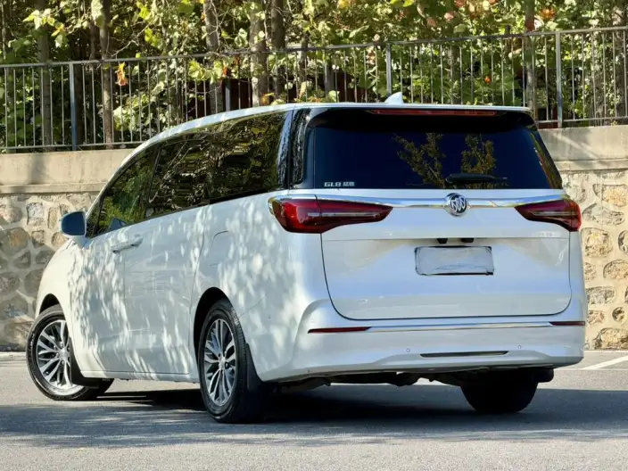 Buick GL8 2021 Model ES Luzun 653T Exclusive Model – фото 3