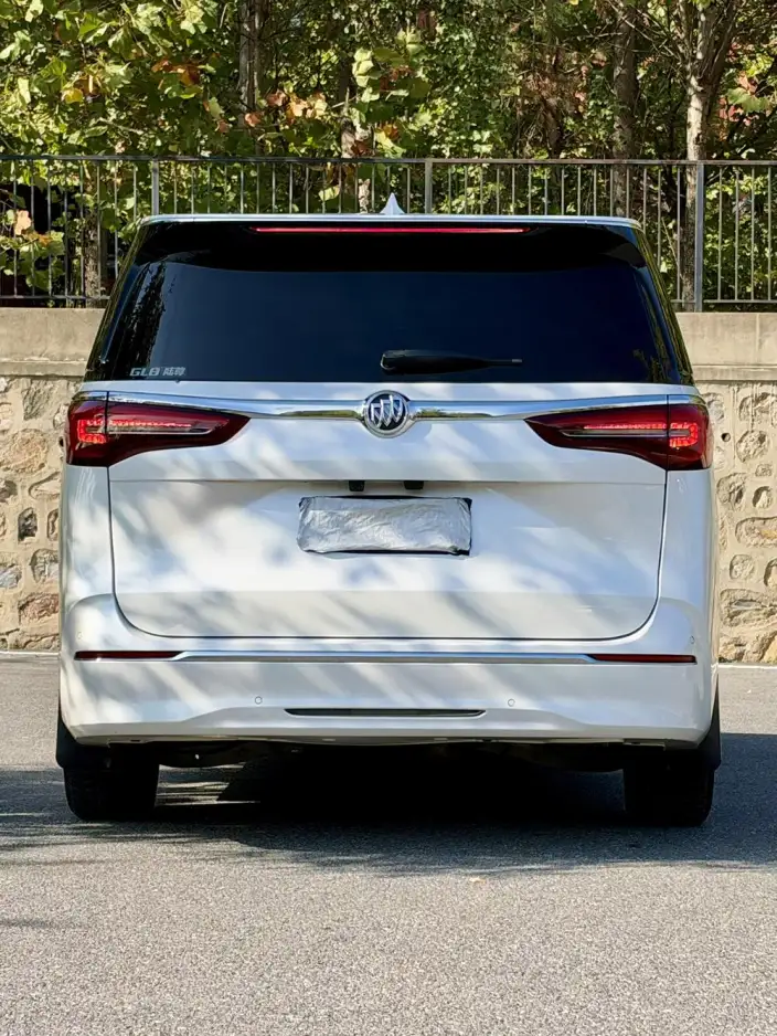 Buick GL8 2021 Model ES Luzun 653T Exclusive Model – фото 4