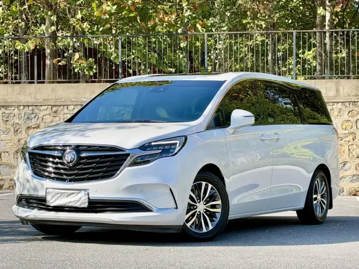 Buick GL8 2021 Model ES Luzun 653T Exclusive Model – фото 10