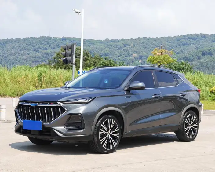 Changan Oshan X5 2021 Model 1.5T DCT Flagship Model