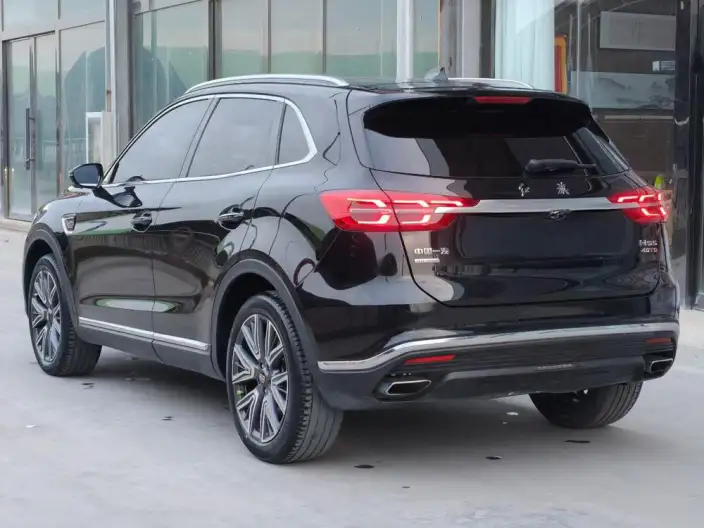 Hongqi HS5 2022 Model Facelift 2.0T Smart Flag Enjoy 4WD Edition – фото 4