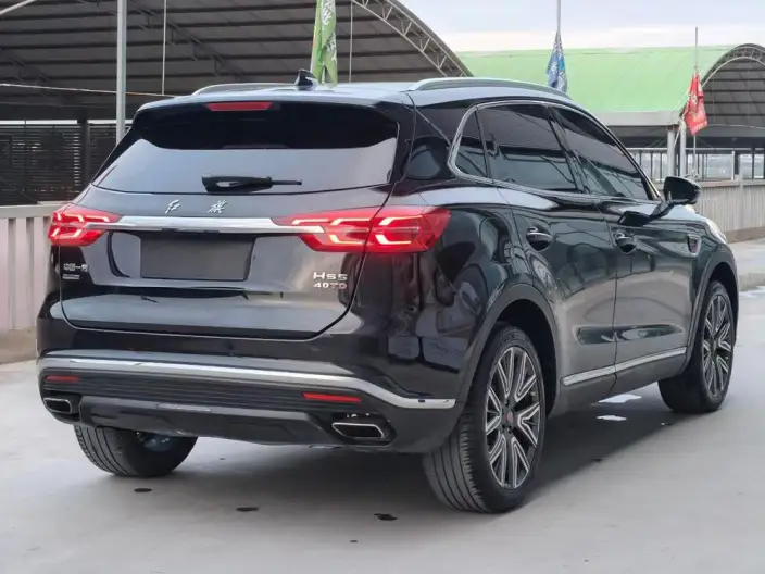 Hongqi HS5 2022 Model Facelift 2.0T Smart Flag Enjoy 4WD Edition – фото 6