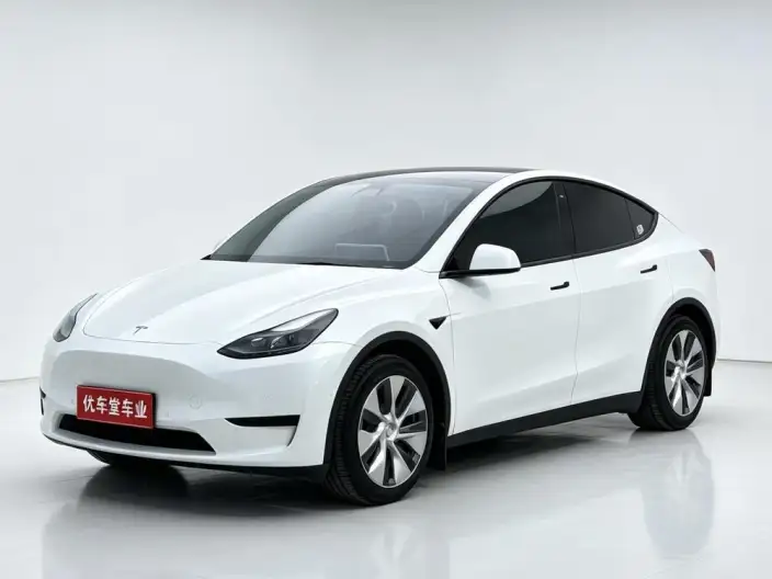 Model Y 2022 Model Rear-wheel drive version – фото 1