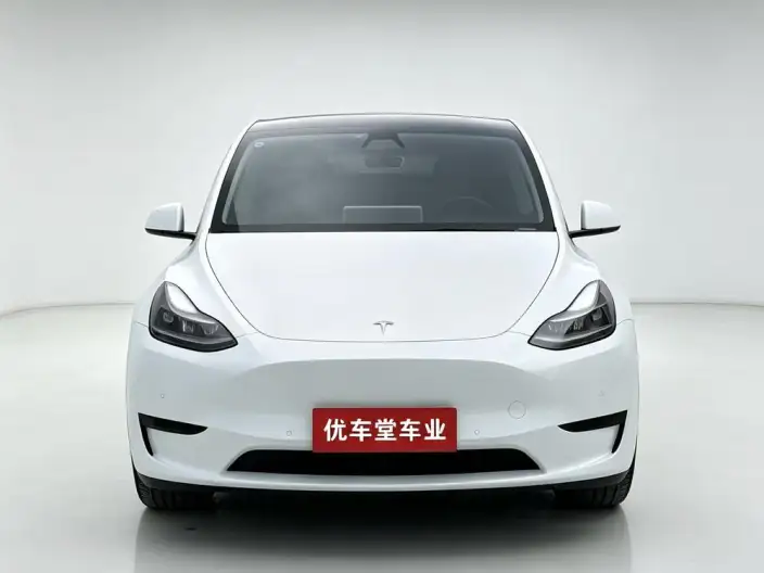 Model Y 2022 Model Rear-wheel drive version – фото 2