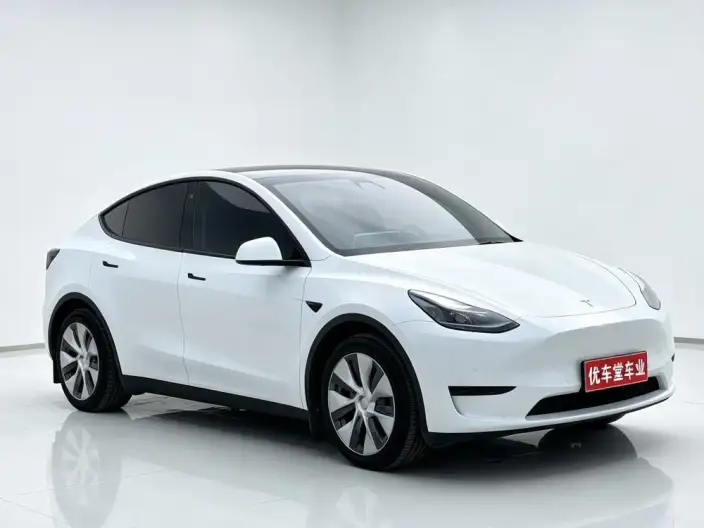 Model Y 2022 Model Rear-wheel drive version – фото 3