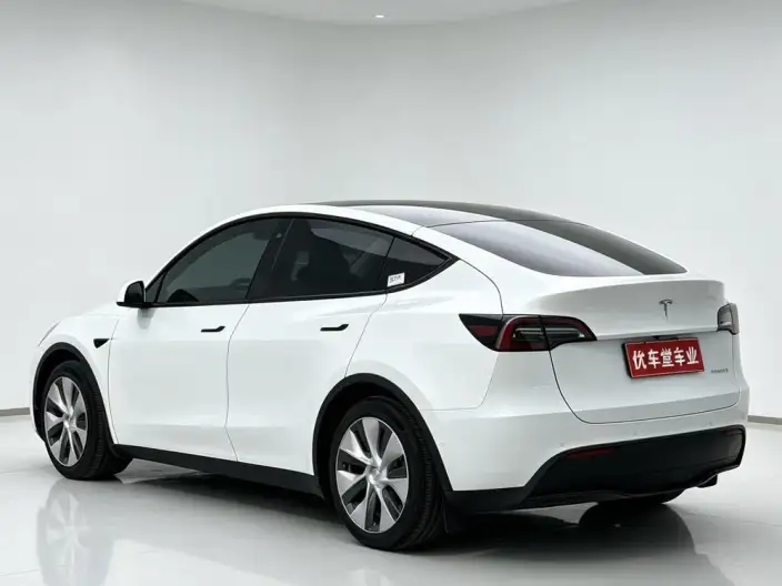 Model Y 2022 Model Rear-wheel drive version – фото 5