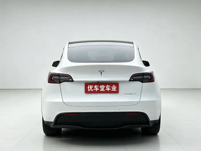 Model Y 2022 Model Rear-wheel drive version – фото 6