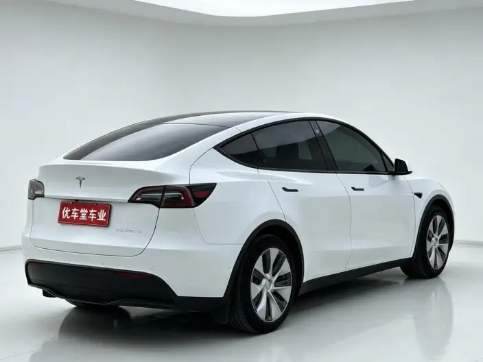 Model Y 2022 Model Rear-wheel drive version – фото 7