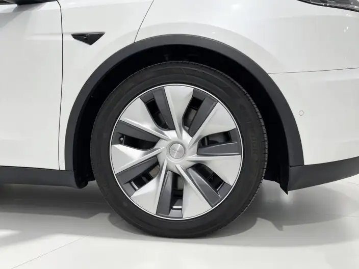 Model Y 2022 Model Rear-wheel drive version – фото 8