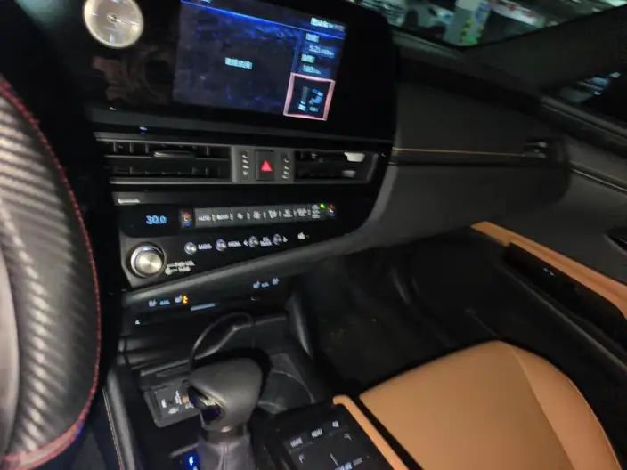 Lexus ES 2021 Model 300h Premium – фото 8
