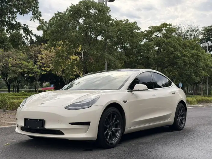 Model 3 2020 Model Standard Battery Life Rear Drive L Class Edition – фото 1