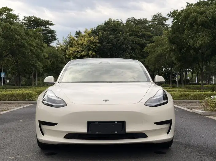 Model 3 2020 Model Standard Battery Life Rear Drive L Class Edition – фото 2