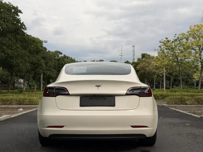 Model 3 2020 Model Standard Battery Life Rear Drive L Class Edition – фото 4