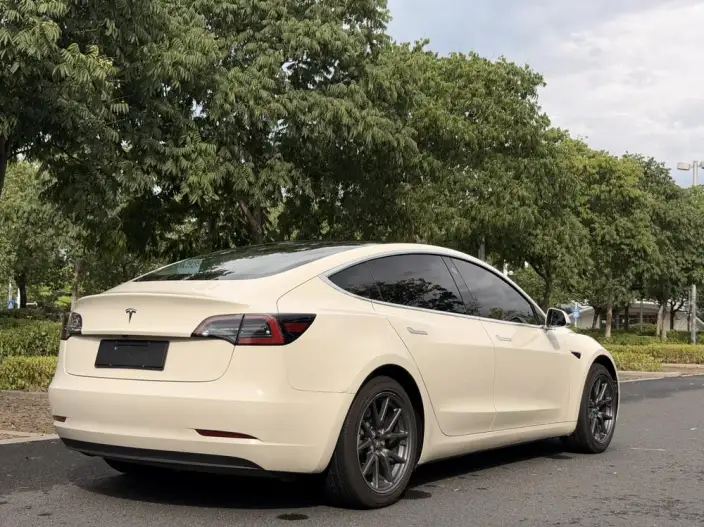 Model 3 2020 Model Standard Battery Life Rear Drive L Class Edition – фото 5