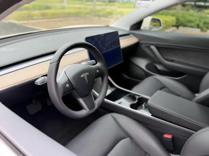 Model 3 2020 Model Standard Battery Life Rear Drive L Class Edition – фото 7