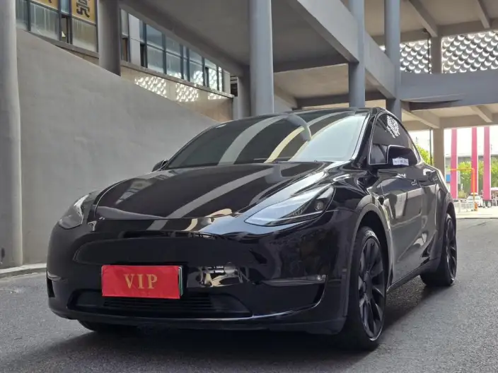Model Y 2021 Model Long Battery Life Pro All-wheel drive version – фото 1