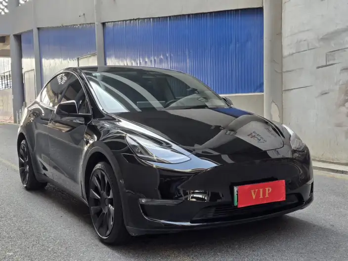 Model Y 2021 Model Long Battery Life Pro All-wheel drive version – фото 3