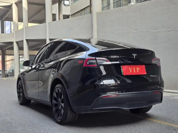 Model Y 2021 Model Long Battery Life Pro All-wheel drive version – фото 4