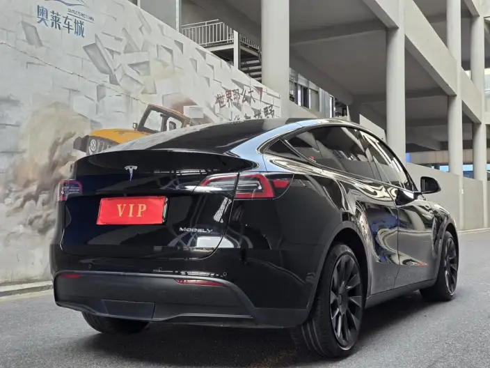 Model Y 2021 Model Long Battery Life Pro All-wheel drive version – фото 6