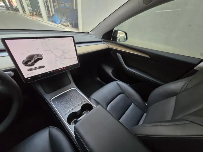 Model Y 2021 Model Long Battery Life Pro All-wheel drive version – фото 10