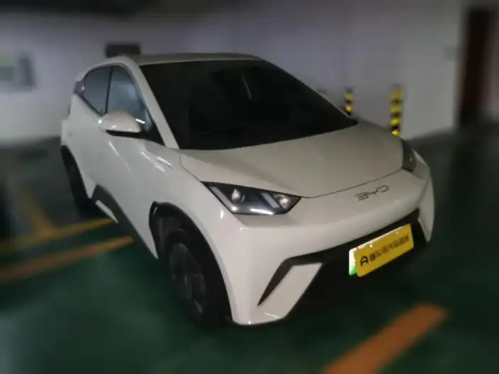 BYD Seagull 2023 Model Vitality Edition – фото 3