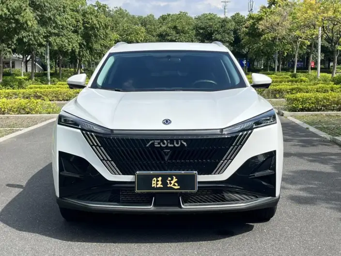 Dongfeng Haohan 2025 Model 1.5T Deluxe Edition