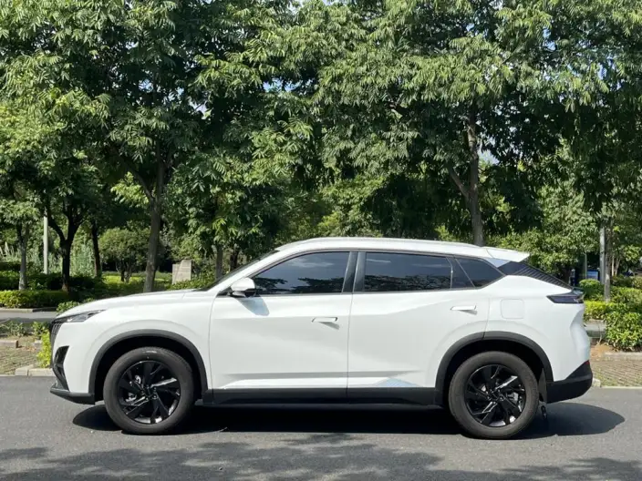 Dongfeng Haohan 2025 Model 1.5T Deluxe Edition