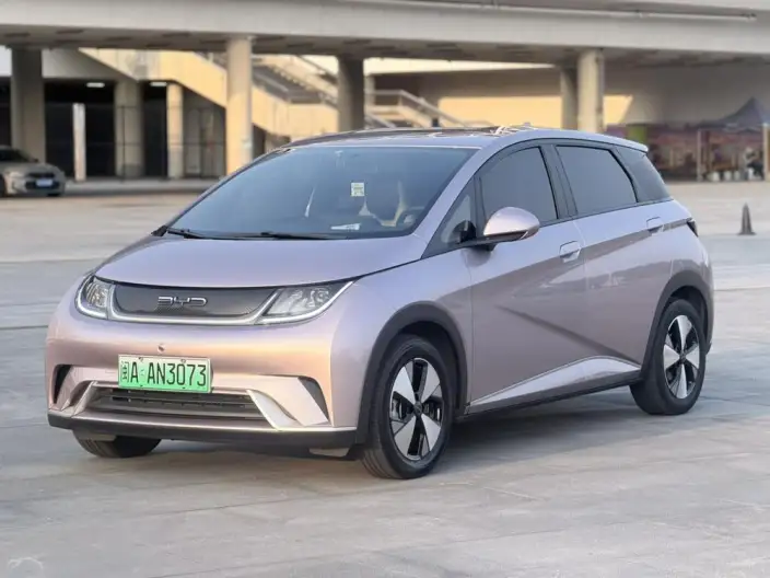 BYD Dolphin 2023 Model Free Edition – фото 1