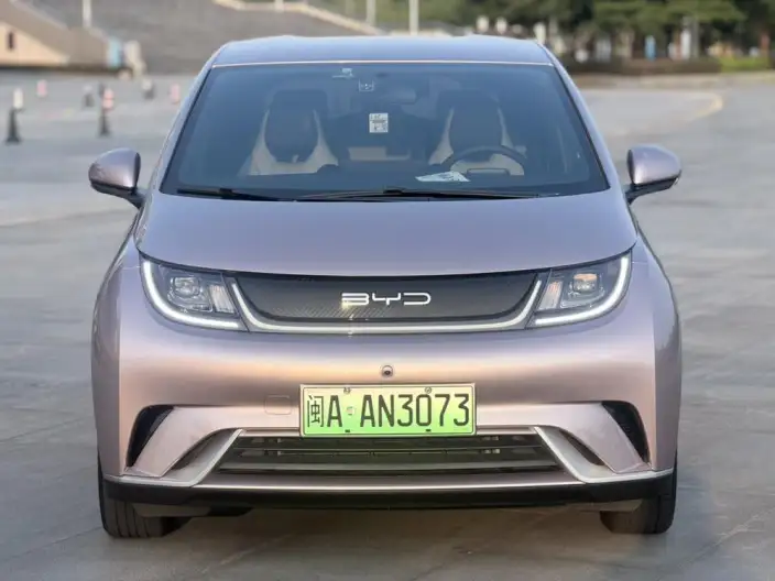BYD Dolphin 2023 Model Free Edition – фото 2