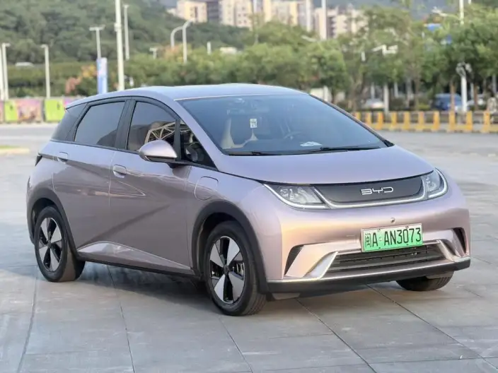 BYD Dolphin 2023 Model Free Edition – фото 3