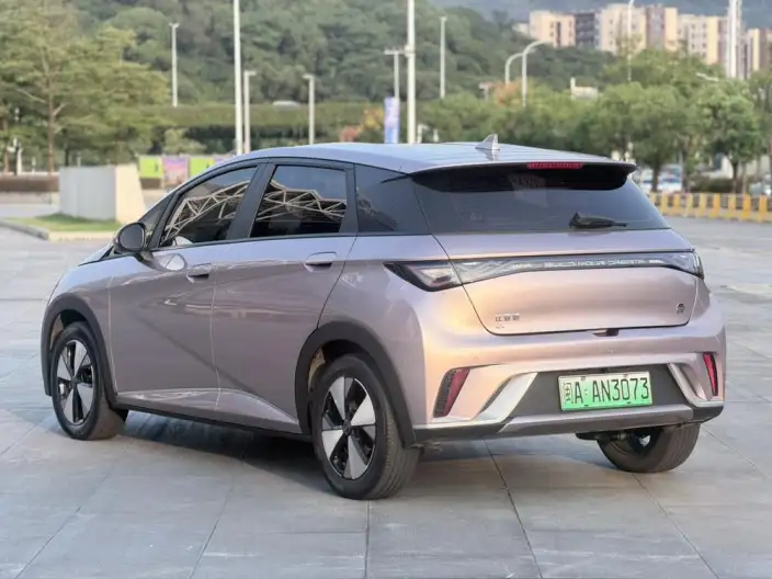 BYD Dolphin 2023 Model Free Edition – фото 4